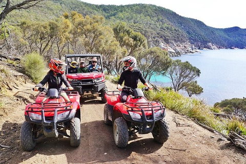 Quad Bike 2-Hour Adventure: Freycinet National Park - Sydney Tourism 2
