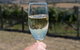 East Coast Splendour Gourmet Food Tour - thumb 6
