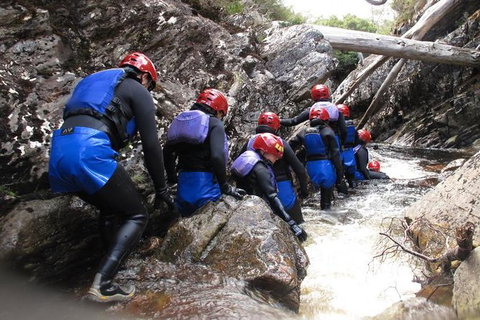 Half Day Cradle Mountain Canyoning: Lost World Canyon - Sydney Tourism 1