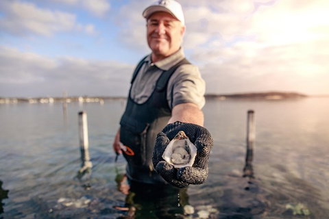 Oyster Farm And Tasting Tour With Hotel Pick-up And Return From Port Lincoln - Sydney Tourism 3