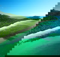 Cape Tribulation Mossman Gorge and Daintree Rainforest Day Trip from Cairns or Port Douglas - Sydney Tourism