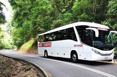 Palm Cove Departure Transfer - Palm Cove To Airport - Sydney Tourism 1