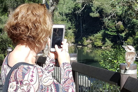 Personalised Private Platypus Land Tour - Sydney Tourism 1