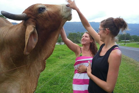 Personalised Private Platypus Land Tour - Sydney Tourism 9