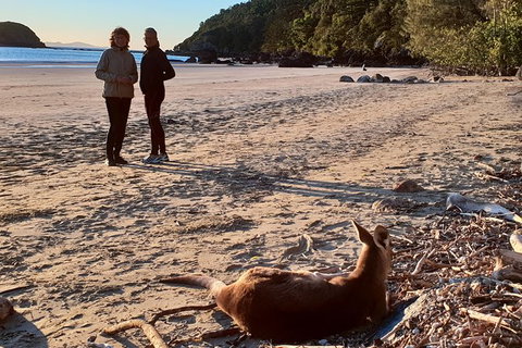 Personalised Private Platypus Land Tour - Sydney Tourism 10