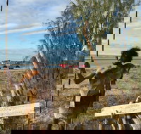 Goolimbil Walkabout Indigenous Experience in the Town of 1770 - Sydney Tourism