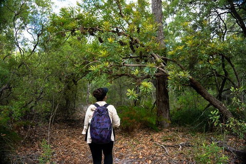 Pack-free Camping: Lake McKenzie Central Hike - 2 Days - Sydney Tourism 1