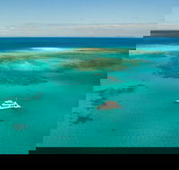 Great Barrier Reef Dive and Snorkel Cruise from Mission Beach