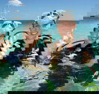 Ocean Spirit Michaelmas Cay Dive and Snorkel Cruise from Palm Cove - Sydney Tourism