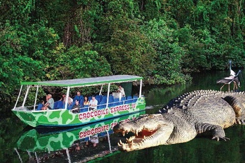 Daintree River Cruise - Sydney Tourism 0