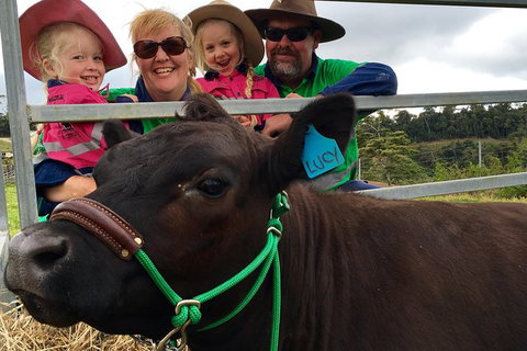 Mackay's Day In The Clouds Paddock To Plate Tour - Sydney Tourism 0