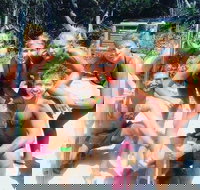 1770 CASTAWAY SURVIVOR 3 Day 2 Night Island Adventure Tour - Sydney Tourism