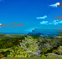 Cape Tribulation Day Tour - Sydney Tourism