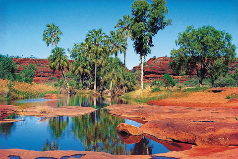 Palm Valley 4WD Tour From Alice Springs - Sydney Tourism 1