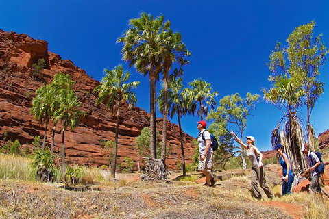Palm Valley 4WD Tour From Alice Springs - Sydney Tourism 0