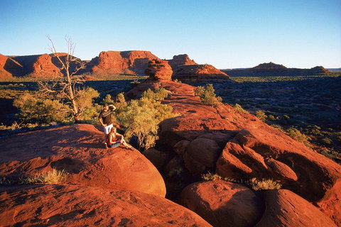 Palm Valley 4WD Tour From Alice Springs - Sydney Tourism 4