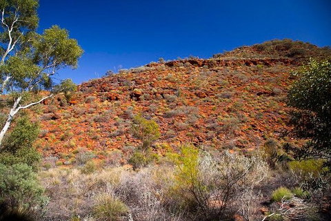 Palm Valley 4WD Tour From Alice Springs - Sydney Tourism 7
