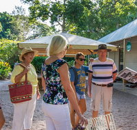 Walk the Darwin Botanic Gardens