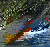 Kayak and SUP Guided Tours - Sydney Tourism