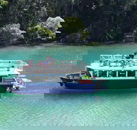 Brunswick Heads Rainforest Eco-Cruise - Sydney Tourism