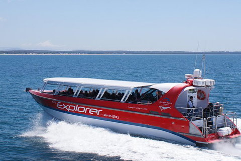 Whale Watching Jervis Bay - Sydney Tourism 5