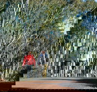 Arthur River - Sydney Tourism