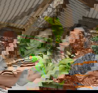 Birdworld Kuranda - Sydney Tourism