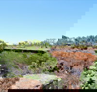 Bladensburg National Park - Sydney Tourism