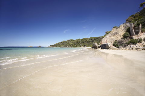 Cape Liptrap Coastal Park - Sydney Tourism 1