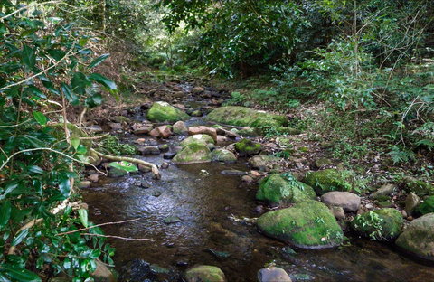 Cascades Picnic Area - Sydney Tourism 0