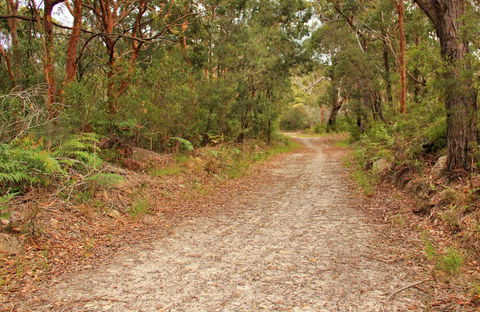 Daleys Point Walking Track - Sydney Tourism 0