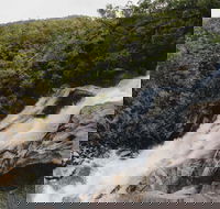 Davies Creek National Park and Dinden National Park - Sydney Tourism