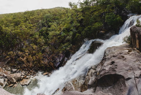 Davies Creek National Park And Dinden National Park - Sydney Tourism 0