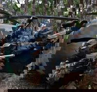 Delta Force Paintball Appin - Sydney Tourism