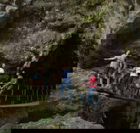 Dig the Tropic - Sydney Tourism