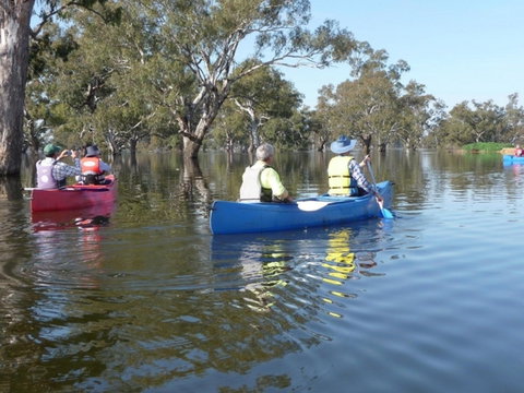 Doodle Cooma Swamp - Sydney Tourism 0