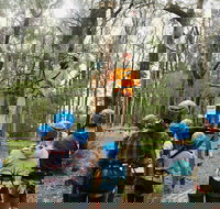 Forest Adventures South West - Sydney Tourism