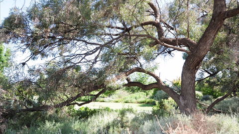 Gathercole Nature Reserve - Sydney Tourism 0