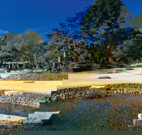 Geelong Botanic Gardens - Sydney Tourism