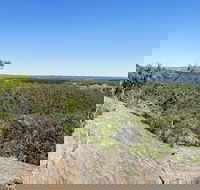 Hale Conservation Park - Sydney Tourism