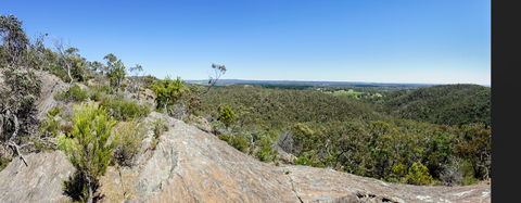 Hale Conservation Park - Sydney Tourism 0