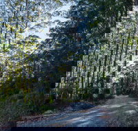 Hastings Forest Way Touring Route - Sydney Tourism