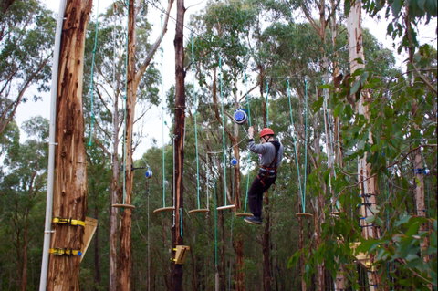Kinglake Forest Adventures - Sydney Tourism 0