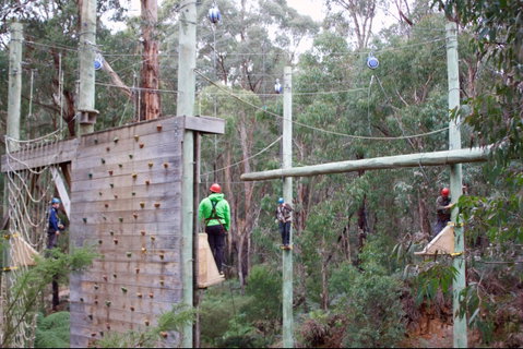 Kinglake Forest Adventures - Sydney Tourism 1