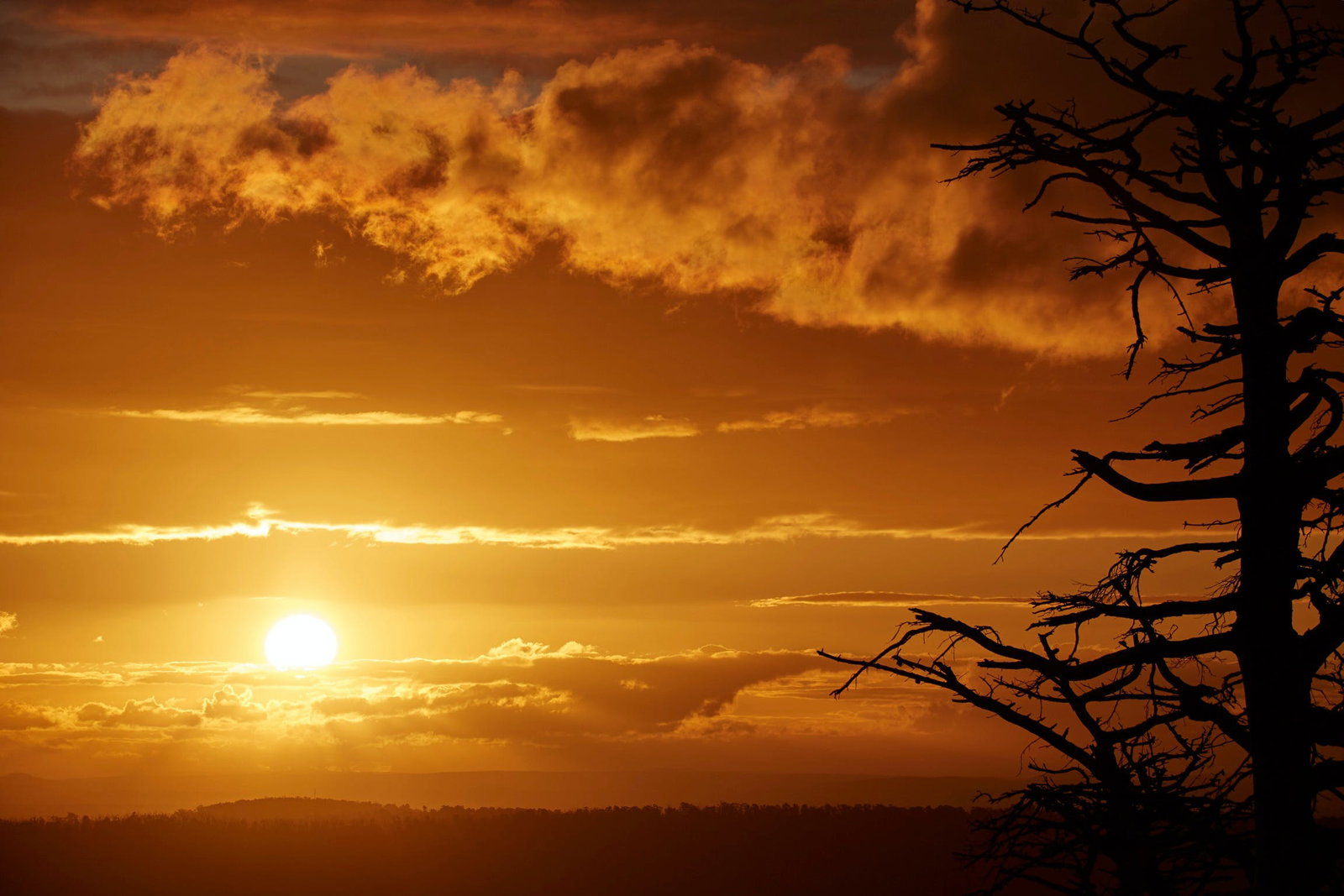 Kinglake Central VIC Sydney Tourism