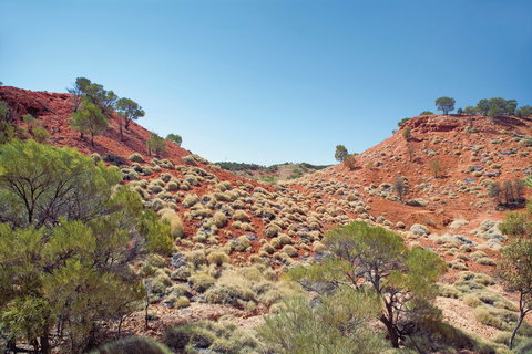 Lark Quarry Conservation Park - Sydney Tourism 0