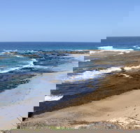 Little Shelley - Sydney Tourism