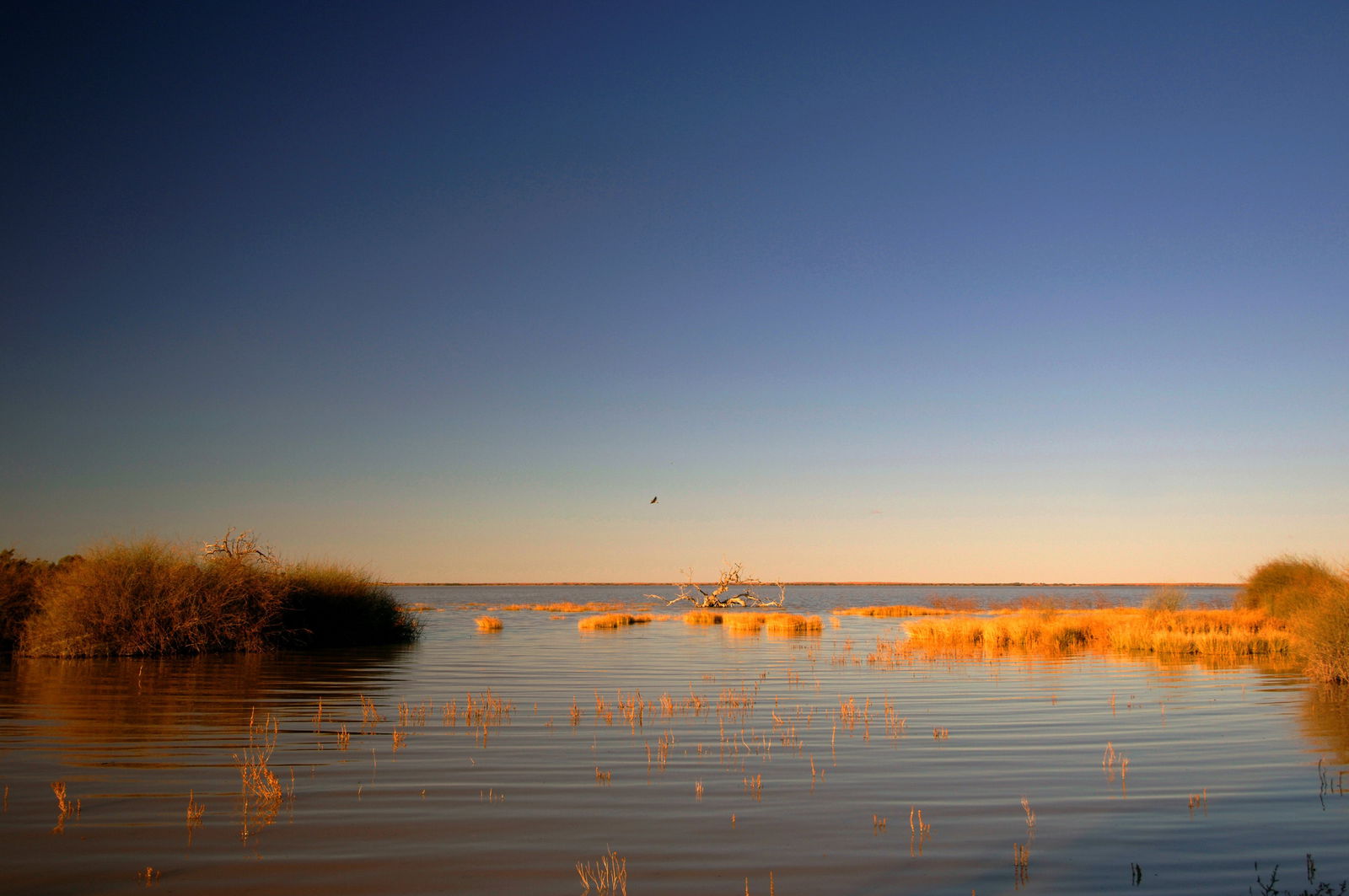 Innamincka SA Sydney Tourism