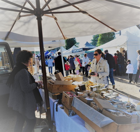 Mornington Racecourse Market - Sydney Tourism 0