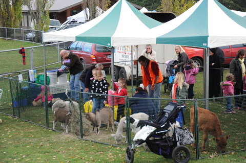 Mornington Racecourse Market - Sydney Tourism 2